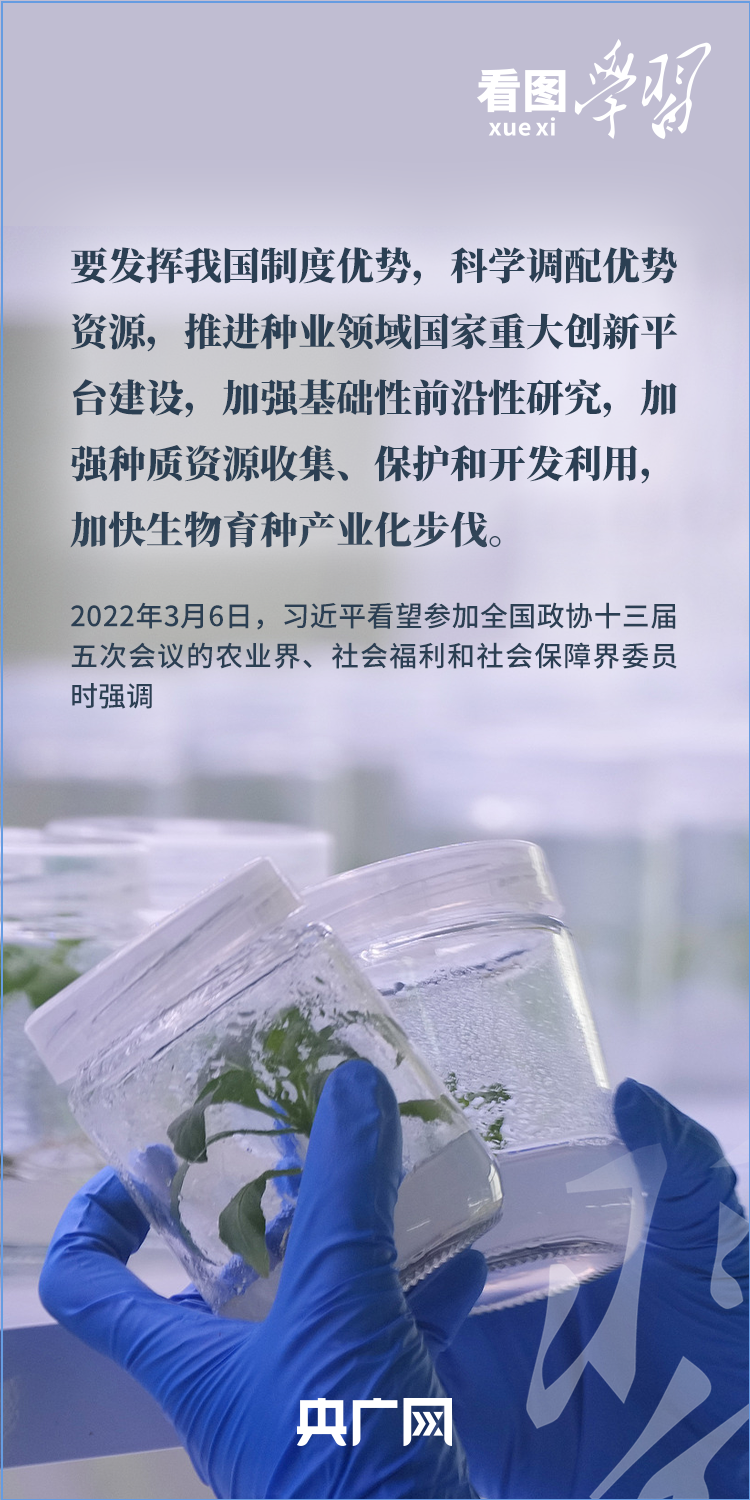 看图学习丨“三夏”时节丰收忙 总书记强调粮食生产年年要抓紧