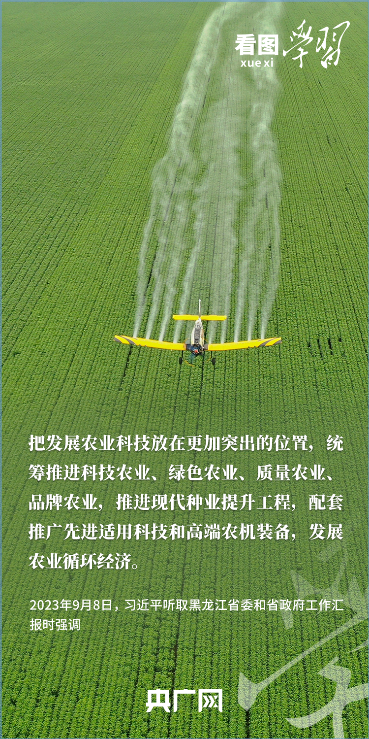 看图学习丨“三夏”时节丰收忙 总书记强调粮食生产年年要抓紧