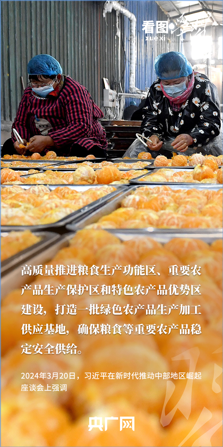 看图学习丨“三夏”时节丰收忙 总书记强调粮食生产年年要抓紧