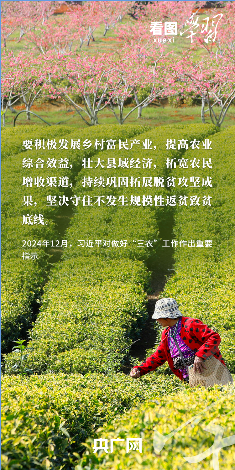 看图学习丨“三夏”时节丰收忙 总书记强调粮食生产年年要抓紧