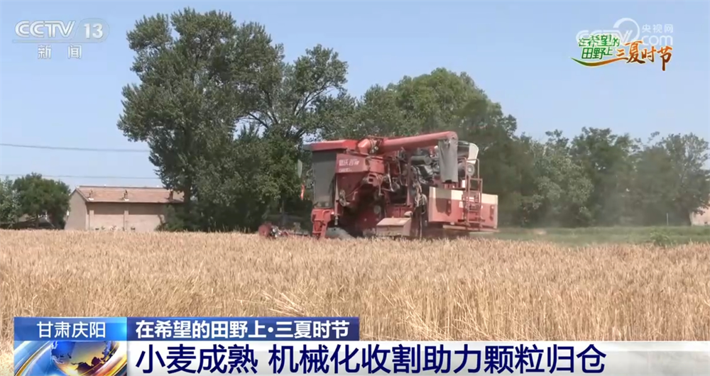 良种良机良法为夏粮丰收提供“硬支撑” 农业现代化图景有“智”更有“质”