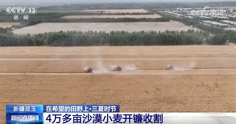 良种良机良法为夏粮丰收提供“硬支撑” 农业现代化图景有“智”更有“质”