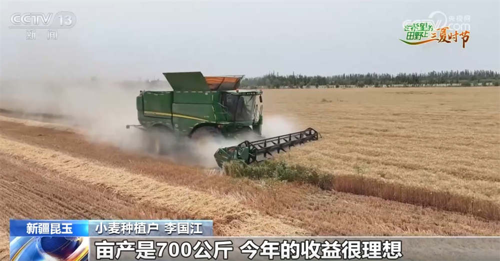 良种良机良法为夏粮丰收提供“硬支撑” 农业现代化图景有“智”更有“质”