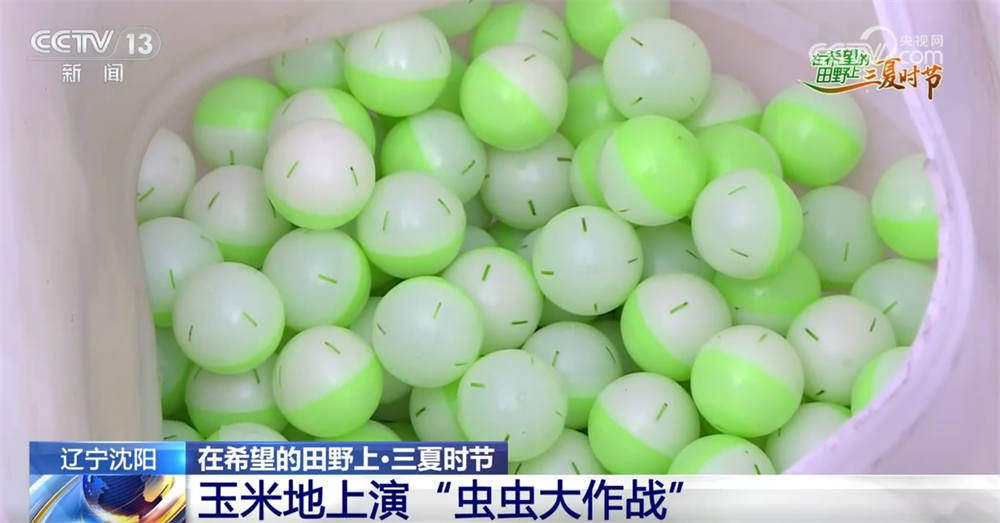 良种良机良法为夏粮丰收提供“硬支撑” 农业现代化图景有“智”更有“质”