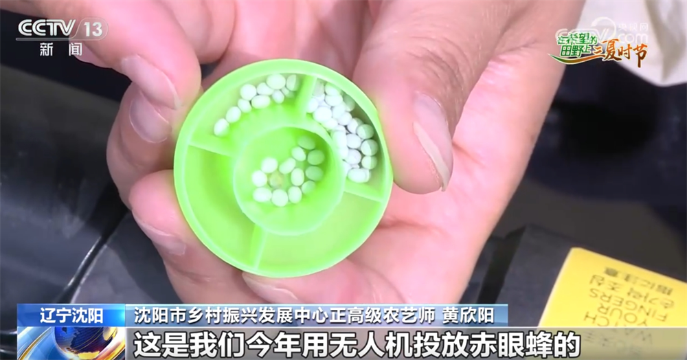 良种良机良法为夏粮丰收提供“硬支撑” 农业现代化图景有“智”更有“质”