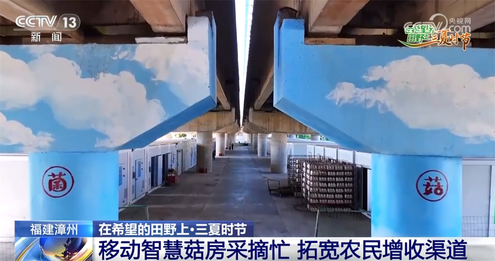 “机械+科技”、稻鸭共养、移动菇房 “智慧”引擎激活乡村振兴新动能