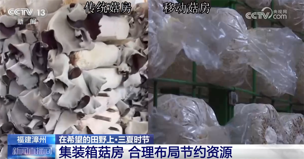 “机械+科技”、稻鸭共养、移动菇房 “智慧”引擎激活乡村振兴新动能