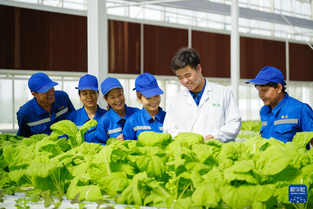 对口援疆助力戈壁兴建智慧农业植物工厂