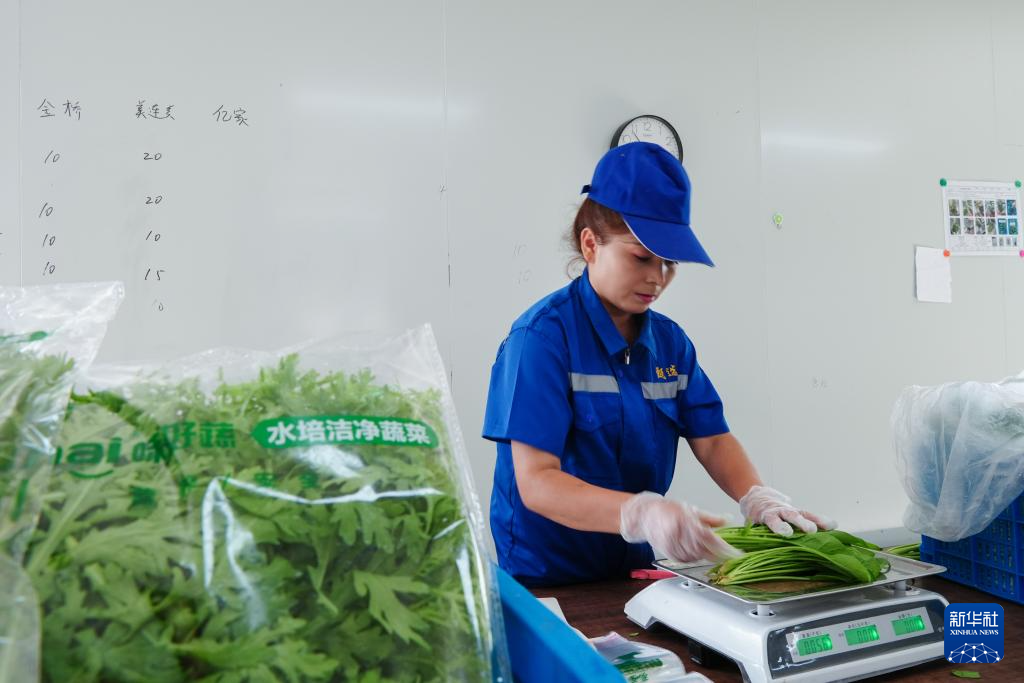 对口援疆助力戈壁兴建智慧农业植物工厂