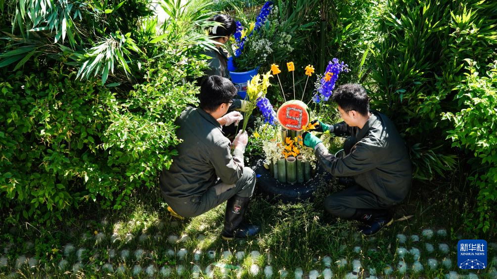 西宁：大熊猫“奇果”“园满”迎来9周岁生日会
