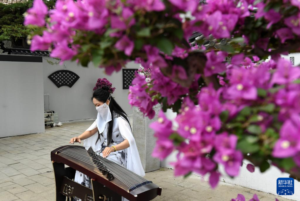 圆明园第三十届荷花节开幕