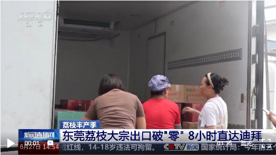 从岭南枝头到全球餐桌 广东荔枝解锁“四季鲜”密码