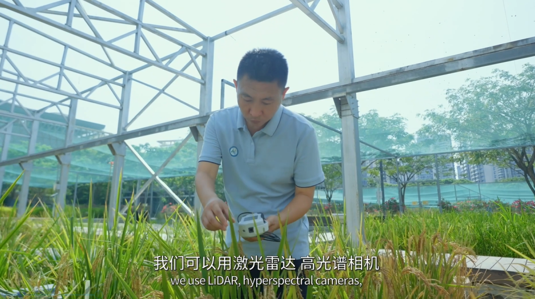 等等，等等，脑洞跟不上了……