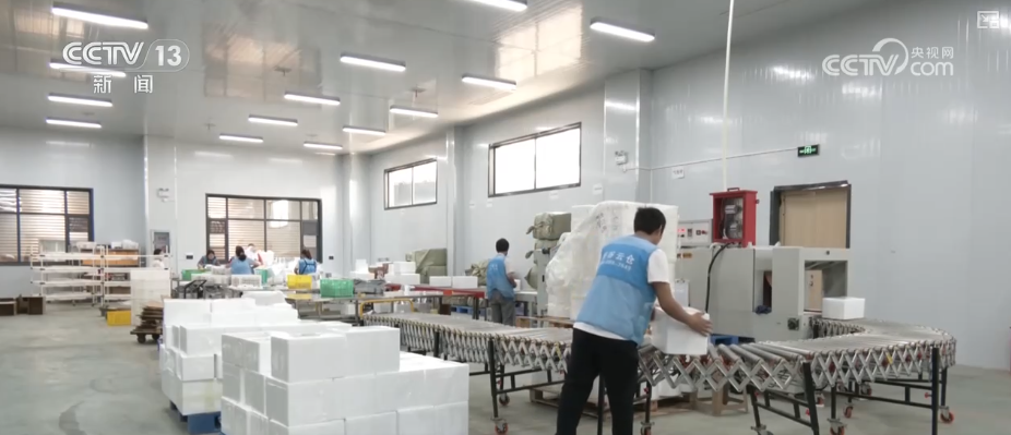 需求向好！消费、投资……“数”里行间看物流“跑”起来 消费“热”起来