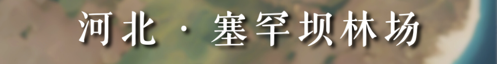 从太空看“十四五”｜这片“绿”，正在生长