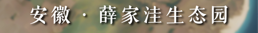 从太空看“十四五”｜这片“绿”，正在生长