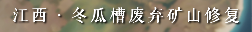 从太空看“十四五”｜这片“绿”，正在生长