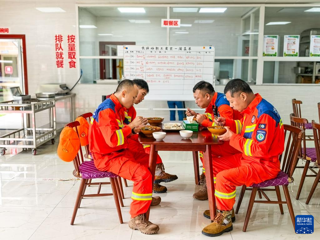百年接力，守护城市万亩林海