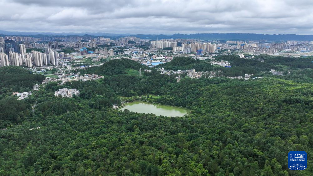 百年接力，守护城市万亩林海