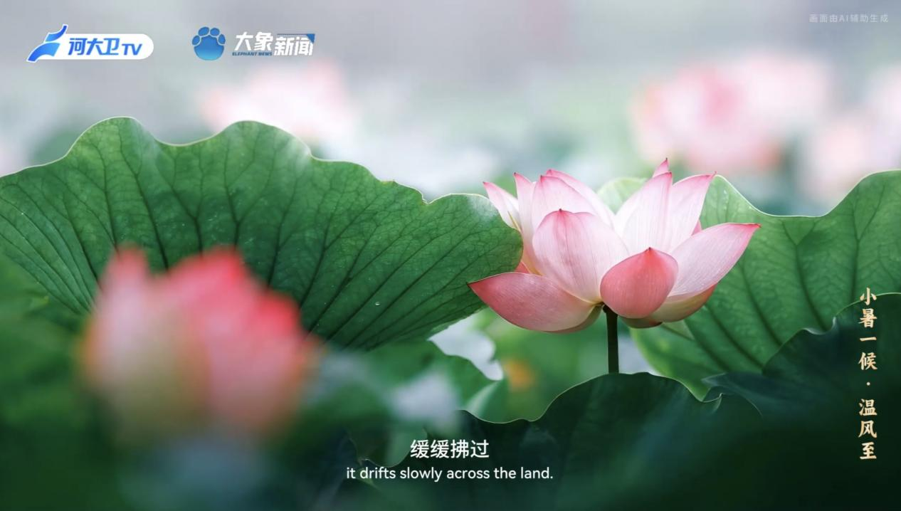 何以中国丨中国节气·小暑