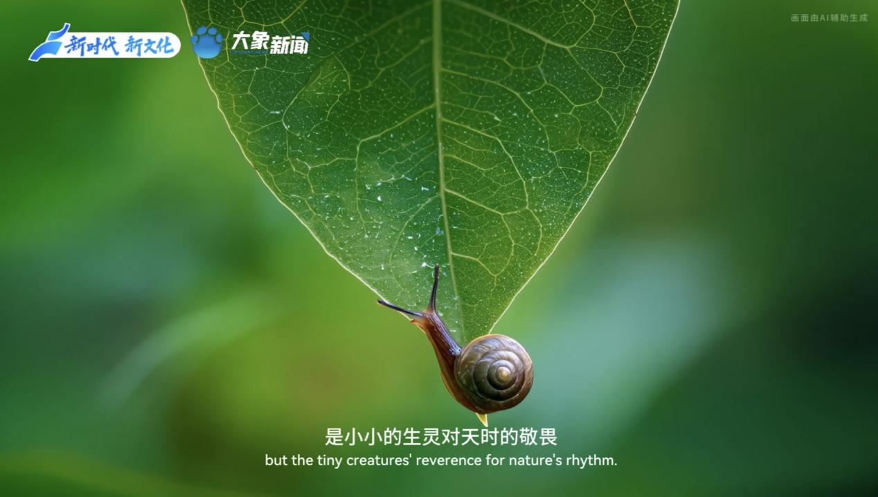 何以中国丨中国节气·小暑