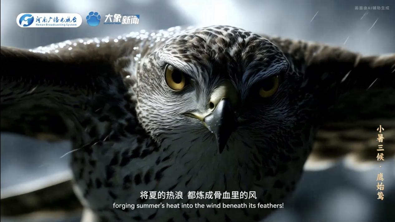 何以中国丨中国节气·小暑