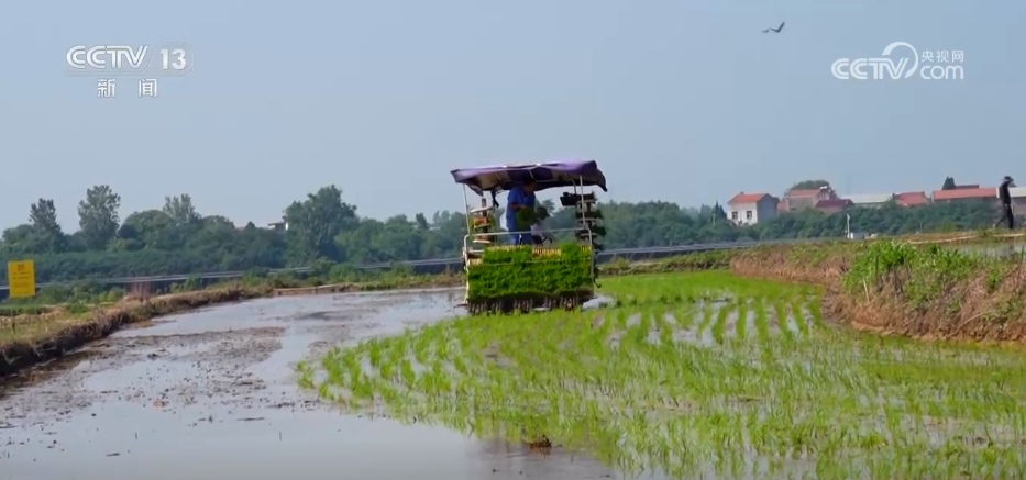各地夏日文旅消费“热浪”奔涌 “暑期经济”乘“热”而上