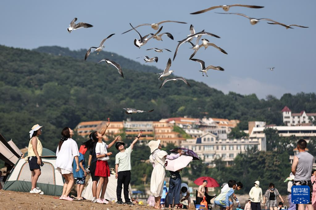 辽宁大连：海滨消暑