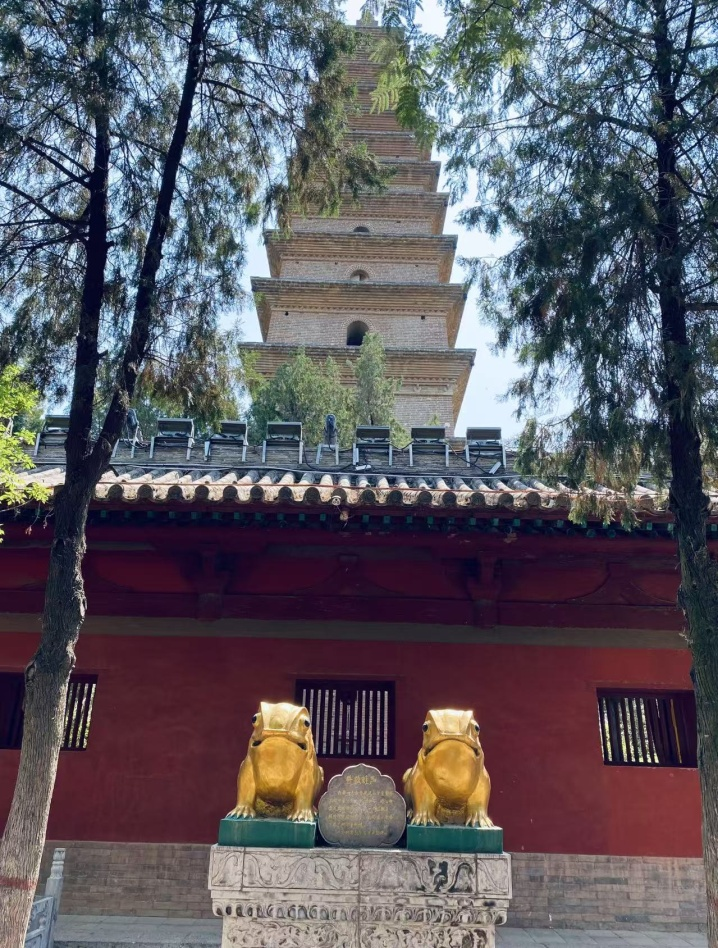 山西永济：打造“形意拳+文旅”融合的样本