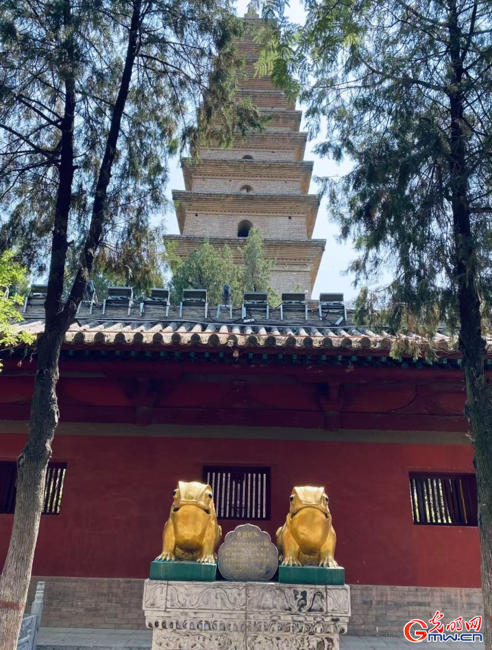 山西永济：打造“形意拳+文旅”融合的样本