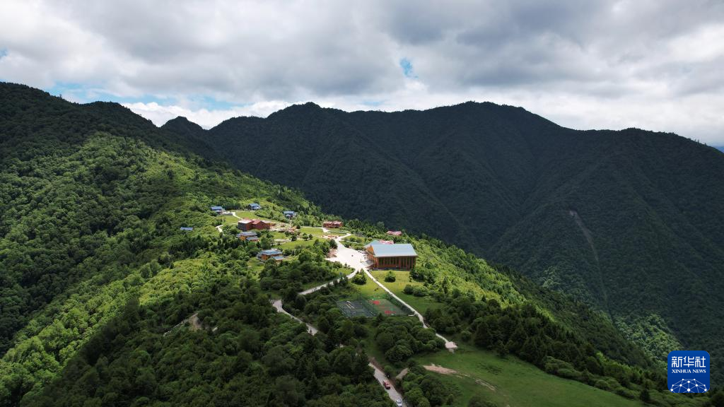 甘肃舟曲：“簪花之路”风景廊道激活文旅新动能