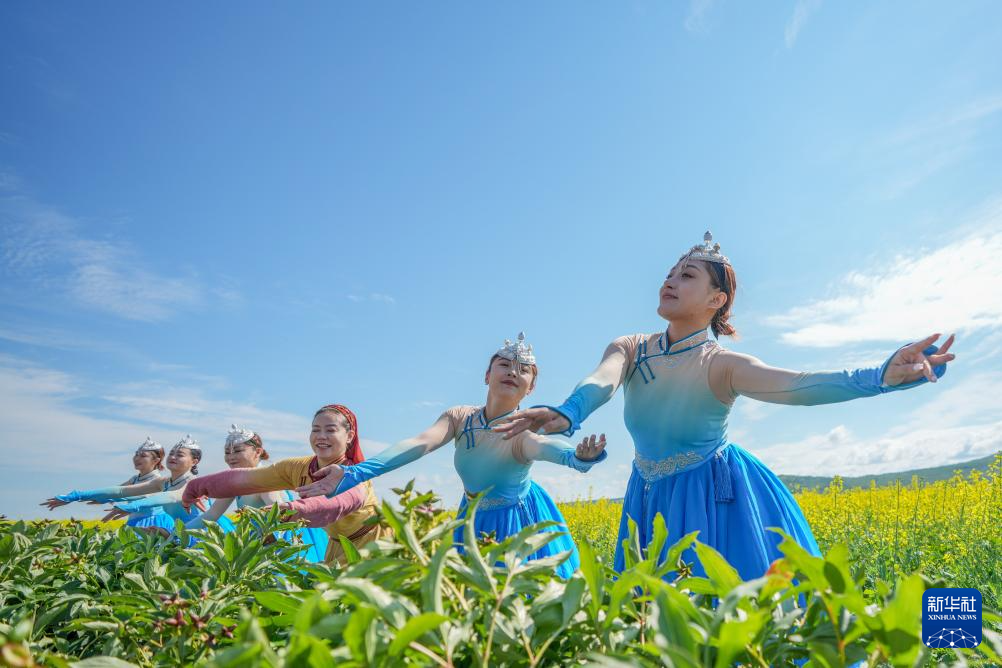 美丽中国丨内蒙古额尔古纳：油菜花海醉游人