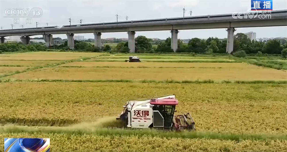 良机良种良技绘就早稻好“丰”景 “新农人”正逐渐成为“兴农人”