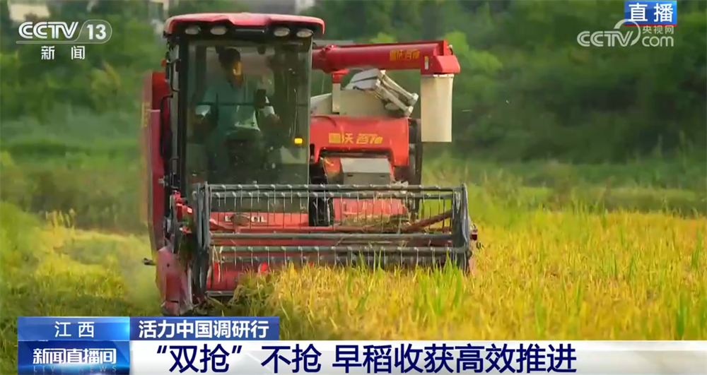 良机良种良技绘就早稻好“丰”景 “新农人”正逐渐成为“兴农人”