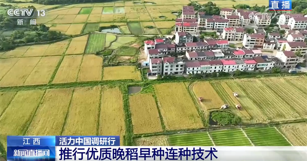 良机良种良技绘就早稻好“丰”景 “新农人”正逐渐成为“兴农人”