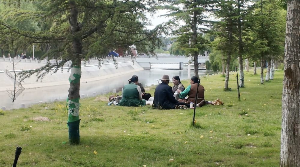 辉煌60载 魅力新西藏｜在西藏 见证写在绿水青山间的生态答卷