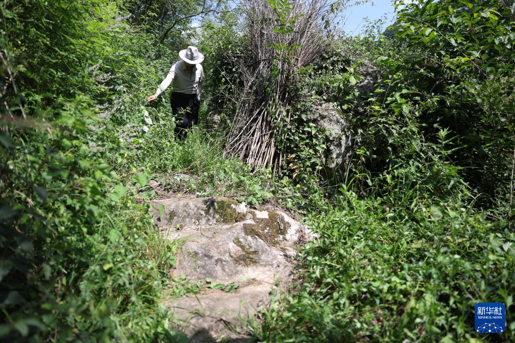 诗意中国丨青泥岭上蜀道不再难