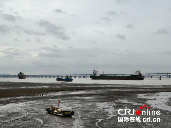 数智海丝看泉州：古港往昔的丝路印记