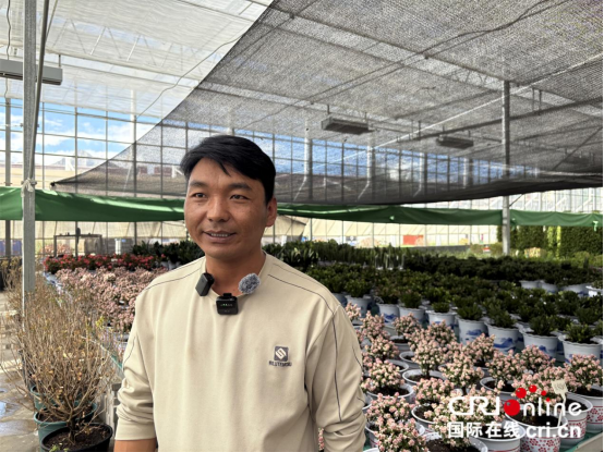 辉煌60年我们的家园|科技赋能 农旅融合 拉萨市才纳园区打造高原现代农业标杆