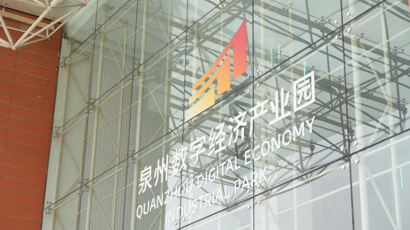AI时代，民营经济“接招”背后的“数智海丝”力量