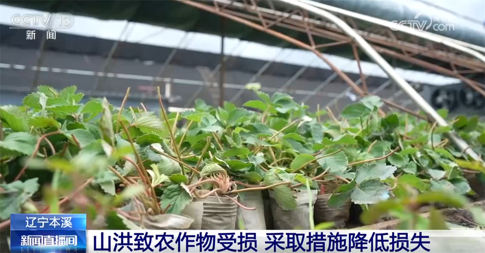 保交通、保安全、保财产 多地以“雨”为令、闻“汛”而动全力应对强降雨天气