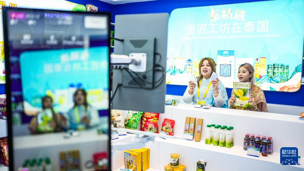 2025中国—东盟教育交流周开幕