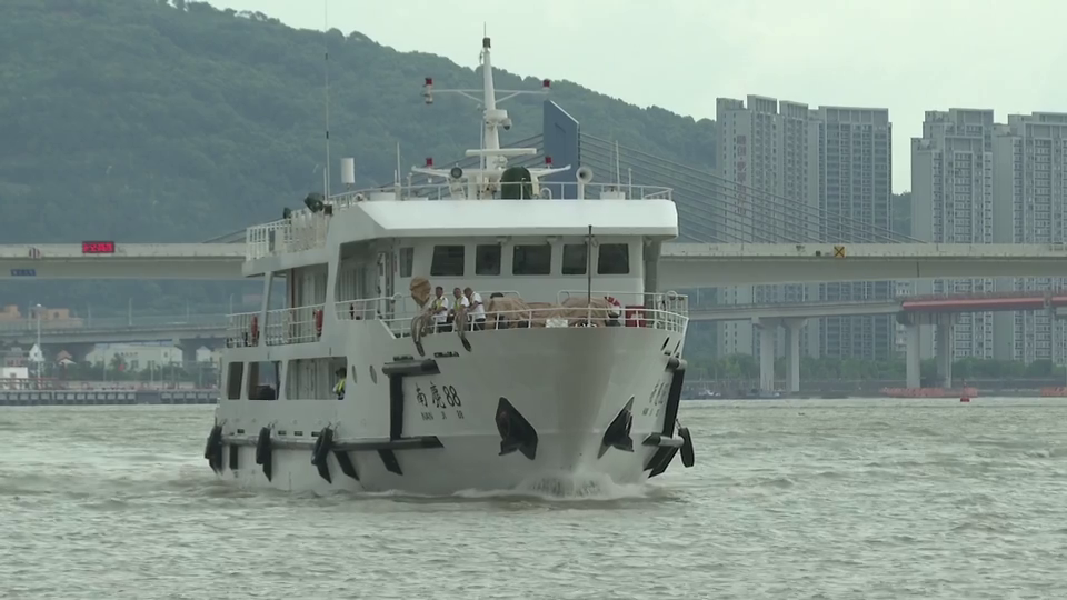 闻“风”而动！浙江各地严阵以待 全力防御台风