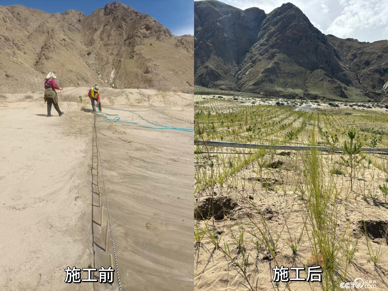 辉煌60年·我们的家园︱万山披绿日渐浓 雪域高原谱新篇