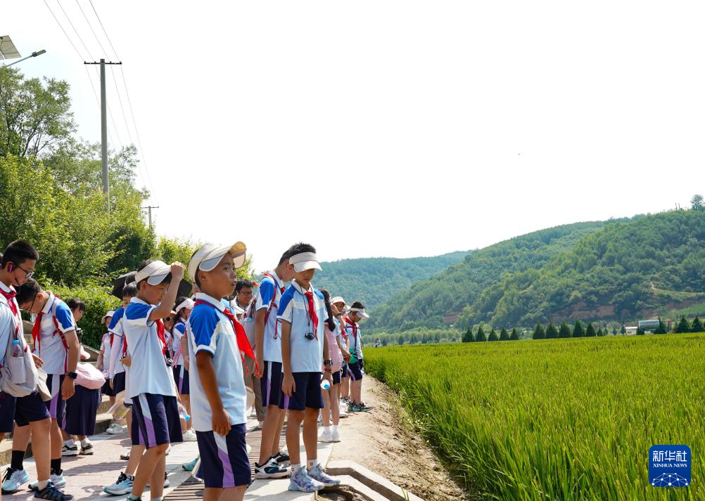 铭记历史·缅怀先烈｜延安南泥湾：陕北好江南再焕新颜