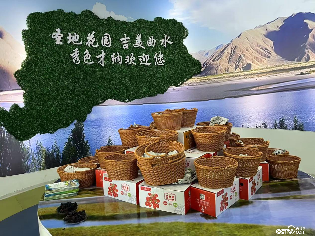 辉煌60年•我们的家园│行走在高原之上：触摸新时代幸福西藏的脉搏