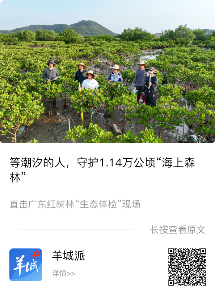 上榜了！恭喜代表作