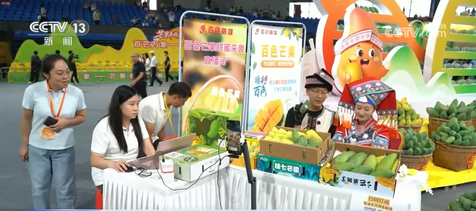 年中经济观察 | 电商成为农民致富“金钥匙” 乡村振兴注入强劲动能