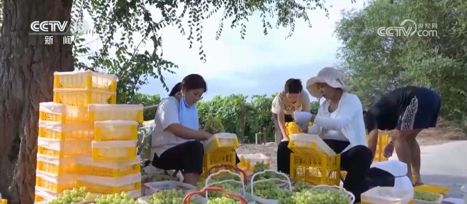年中经济观察 | 电商成为农民致富“金钥匙” 乡村振兴注入强劲动能