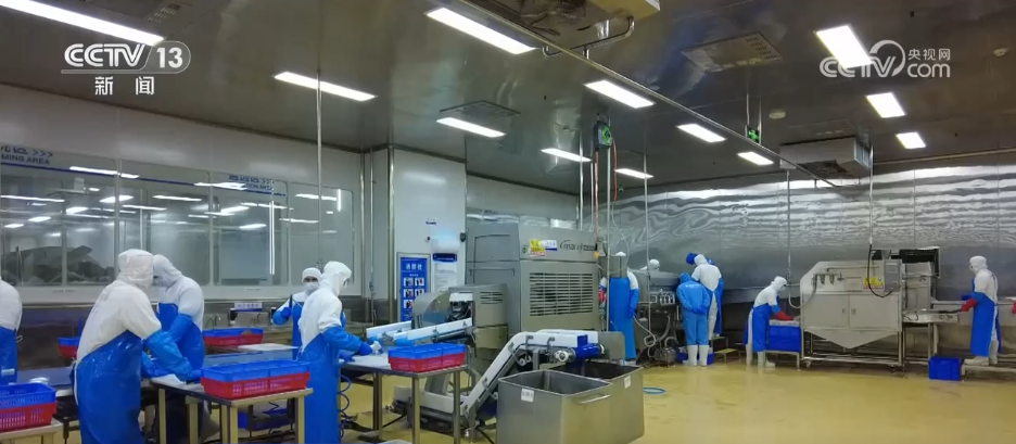 年中经济观察 | 电商成为农民致富“金钥匙” 乡村振兴注入强劲动能
